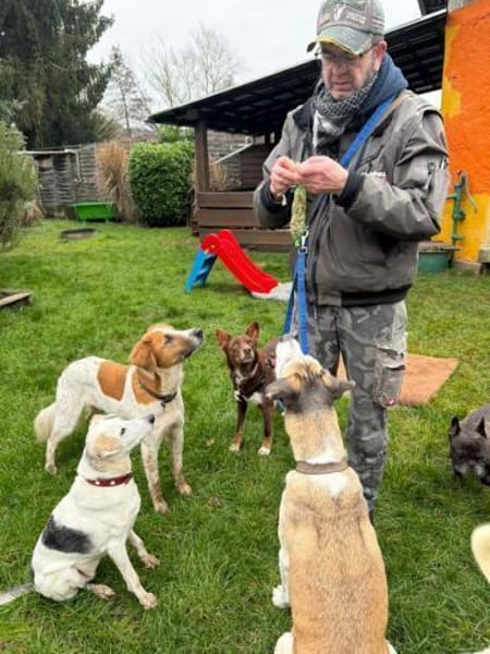 Mama Babsi, stubenreine Hündin ca. 1-2 J