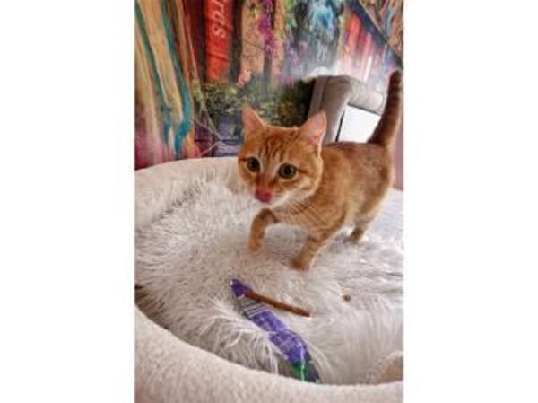 Tina - wartet in 38648 Goslar