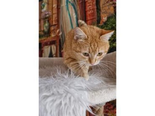 Tina - wartet in 38648 Goslar