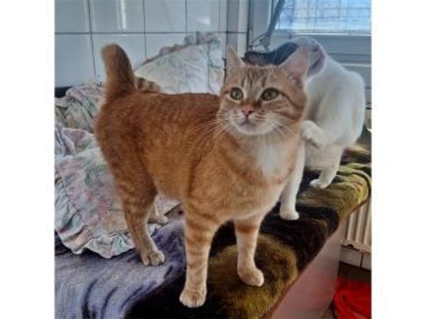 Tina - wartet in 38648 Goslar