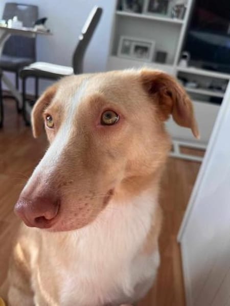 Feinfühliger CREAM sucht ♥  ‼🆘‼