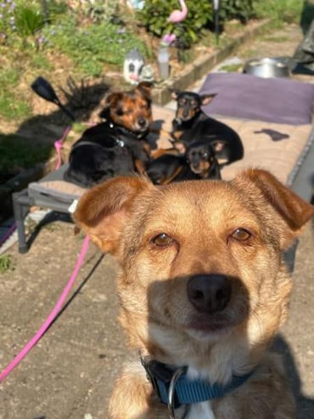 Kleine Namy sucht liebevolles Zuhause