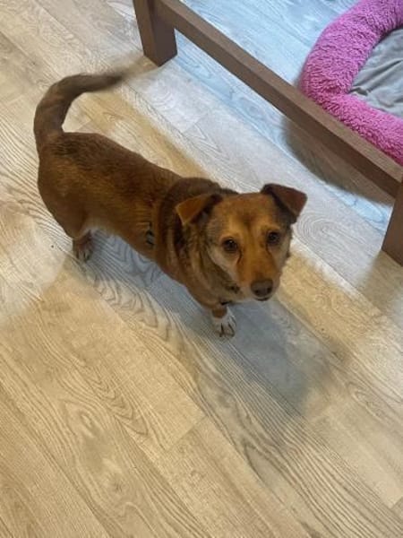 Kleine Namy sucht liebevolles Zuhause