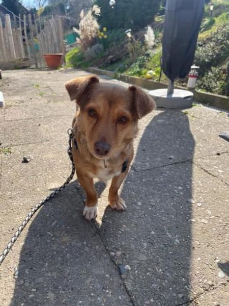 Kleine Namy sucht liebevolles Zuhause