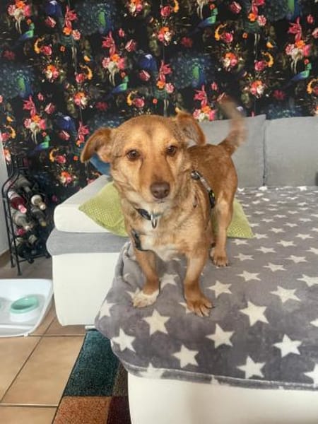 Kleine Namy sucht liebevolles Zuhause