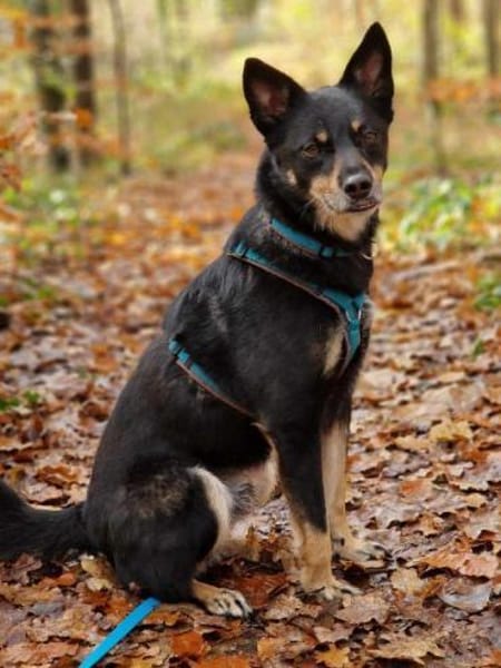 aktiver Sam auf PS in 90571