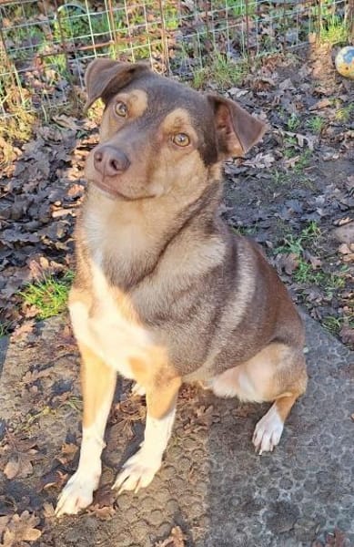 Till sucht sein Zuhause