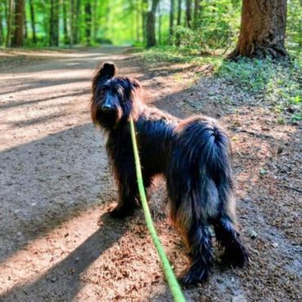 Ballou - ist kinderlieb