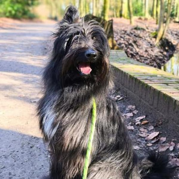 Ballou - ist kinderlieb