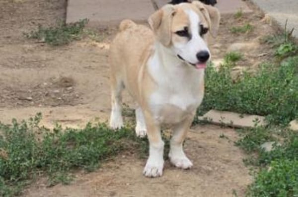 Emoji möchte die Welt entdecken