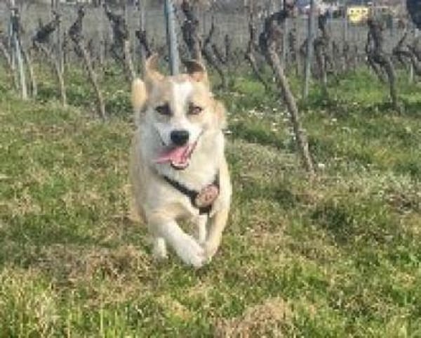 Emoji möchte die Welt entdecken