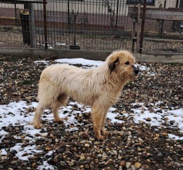 VIATA - sucht  Platz für's Leben...