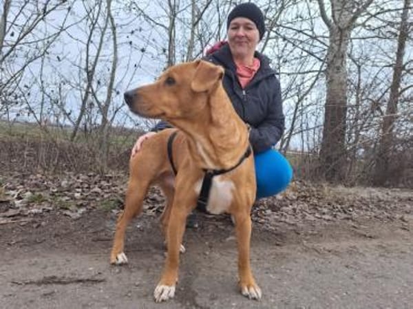 Hachiko, treuer Begleiter, ca. 8 Jahre
