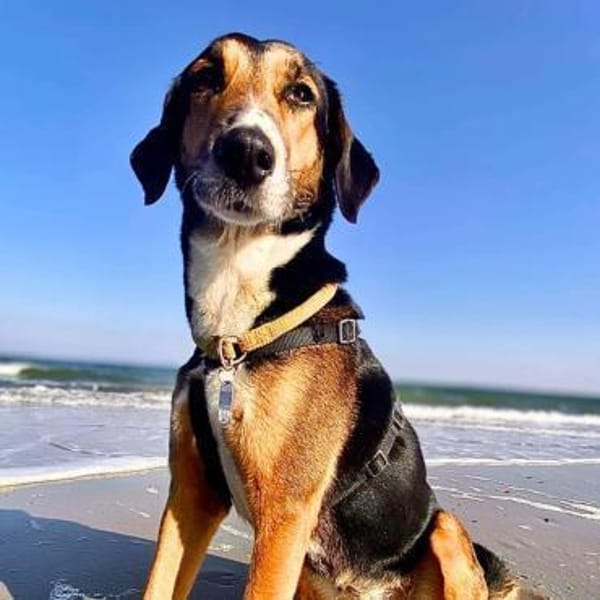 Wanja - lernwillig, aber unsicher