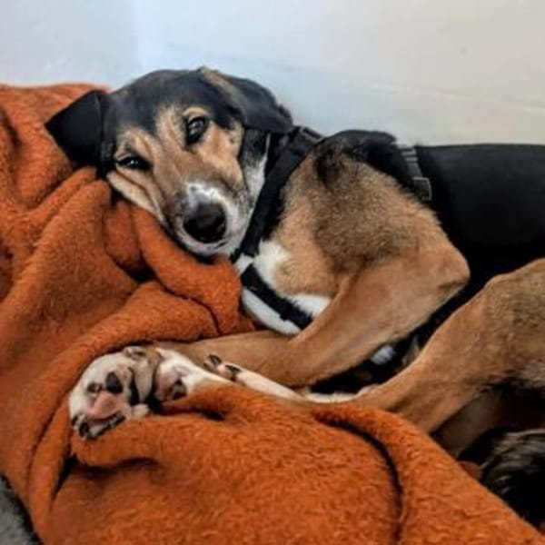 Wanja - lernwillig, aber unsicher