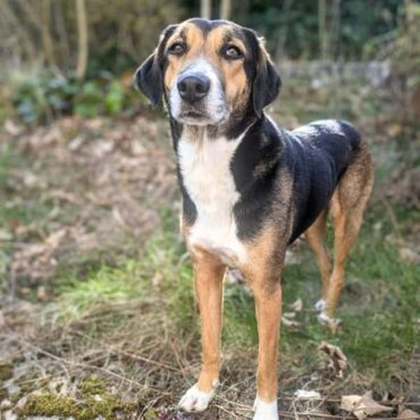 Wanja - lernwillig, aber unsicher