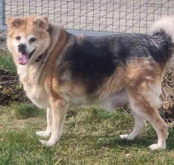 Lucky, su. ebenerdiges Zuhause