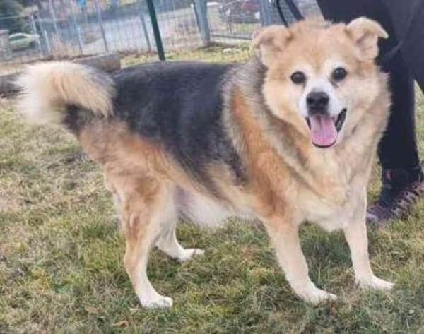 Lucky, su. ebenerdiges Zuhause