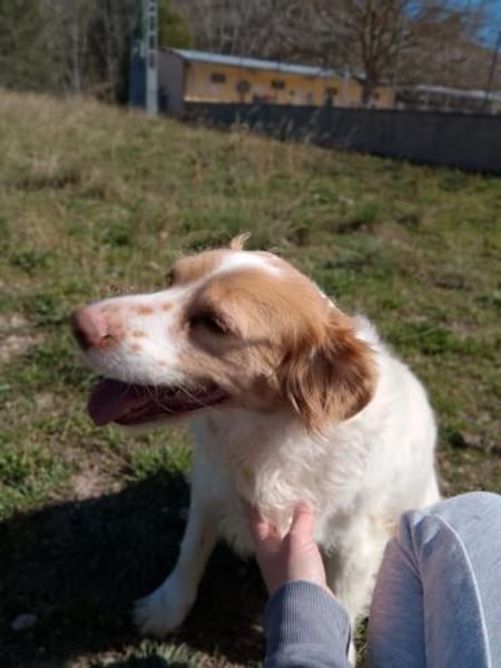 Alma - ein Dreamteam mit Estrella