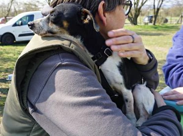 Laila, menschenbezogen, zart, neugierig