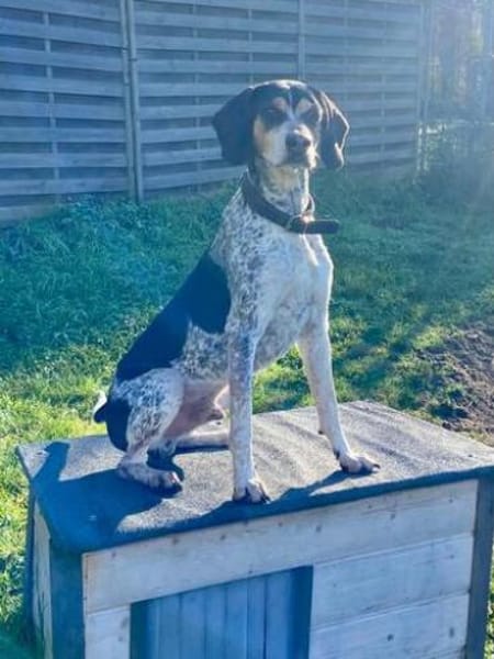 Benson 3 (zur Pflege in 06889 Luthersta)