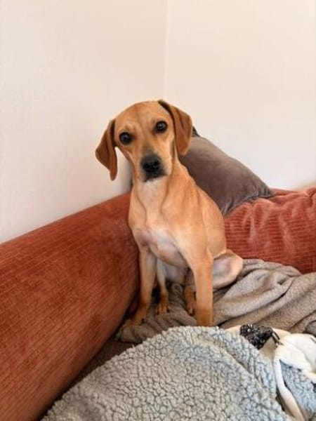 Fern 2 (zur Pflege in 80796 München)