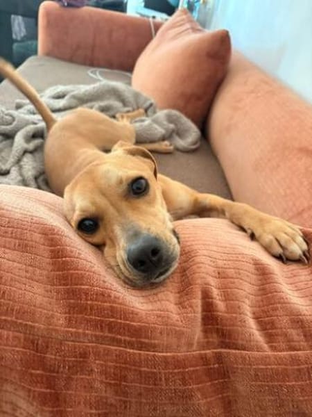 Fern 2 (zur Pflege in 80796 München)