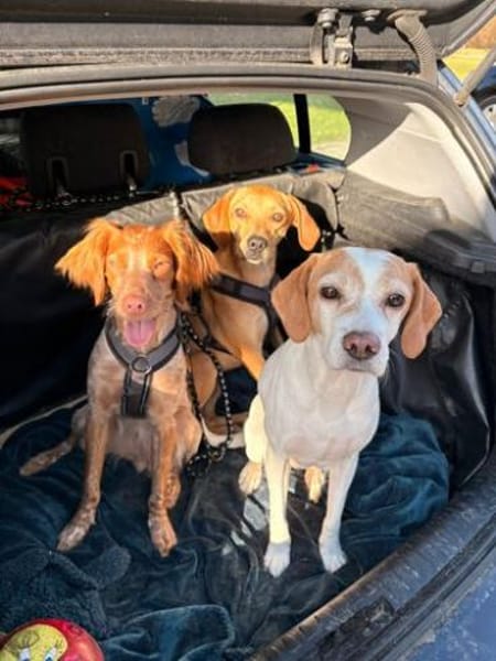 Fern 2 (zur Pflege in 80796 München)