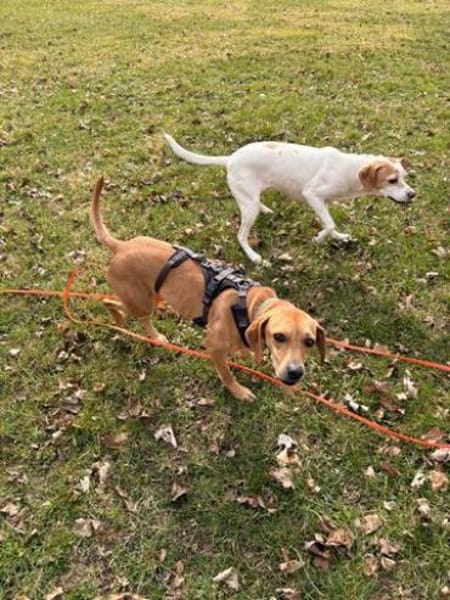 Fern 2 (zur Pflege in 80796 München)