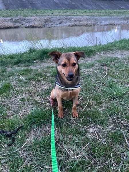 Lea, einfach nur perfekt und zuckersüß