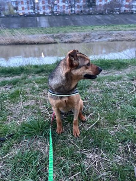 Lea, einfach nur perfekt und zuckersüß