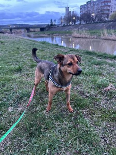 Lea, einfach nur perfekt und zuckersüß