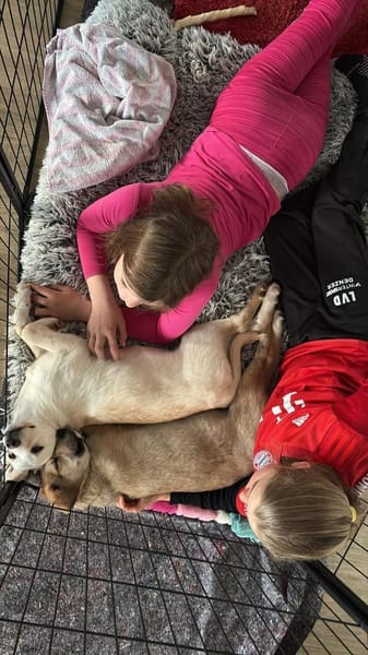 Lumi   zarte Seele sucht ihr Glück