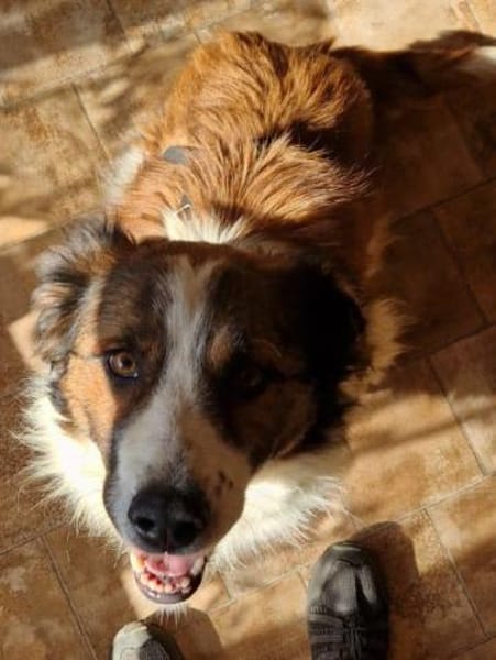 Wuschel-Kuschelmonsterchen Fleur