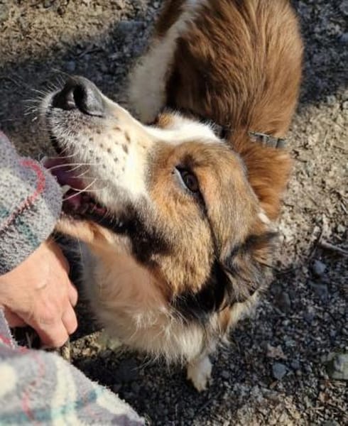 Wuschel-Kuschelmonsterchen Fleur