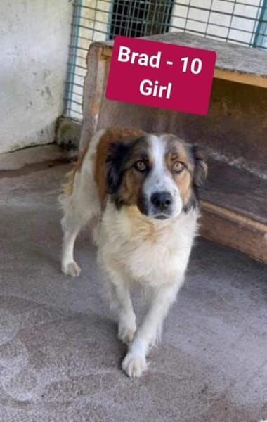 Wuschel-Kuschelmonsterchen Fleur