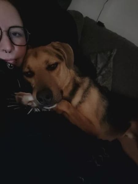 Zuhause gesucht für Minou