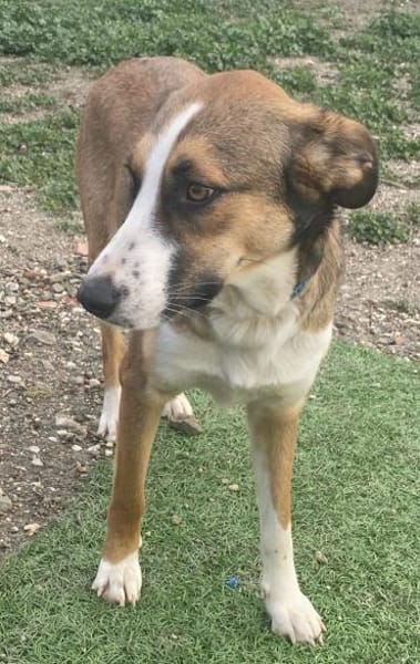 KETTY wünscht sich ihr eigenes Zuhause