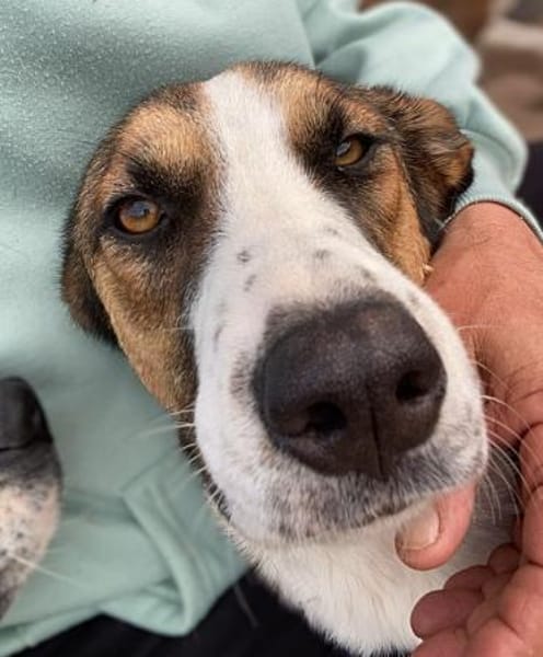 KETTY wünscht sich ihr eigenes Zuhause