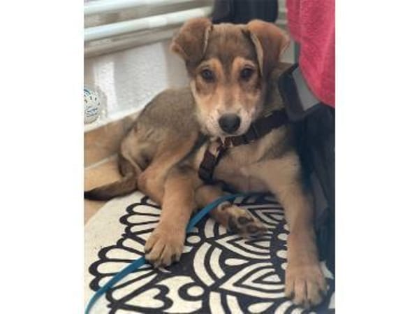 Mayli2 - wartet in 15848 Beeskow