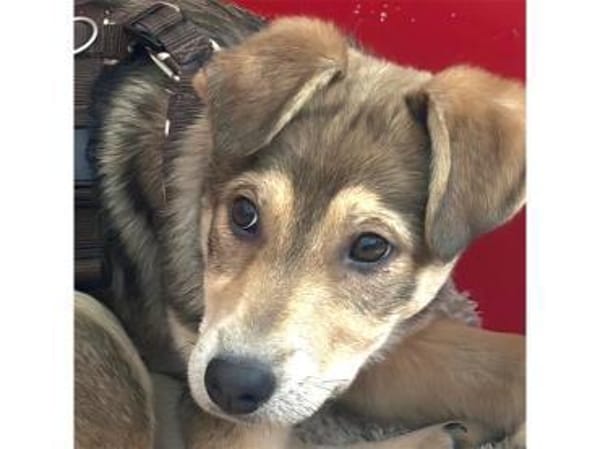 Mayli2 - wartet in 15848 Beeskow