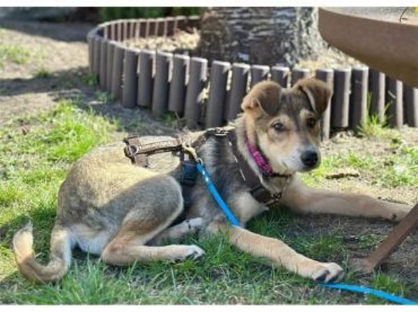 Mayli2 - wartet in 15848 Beeskow