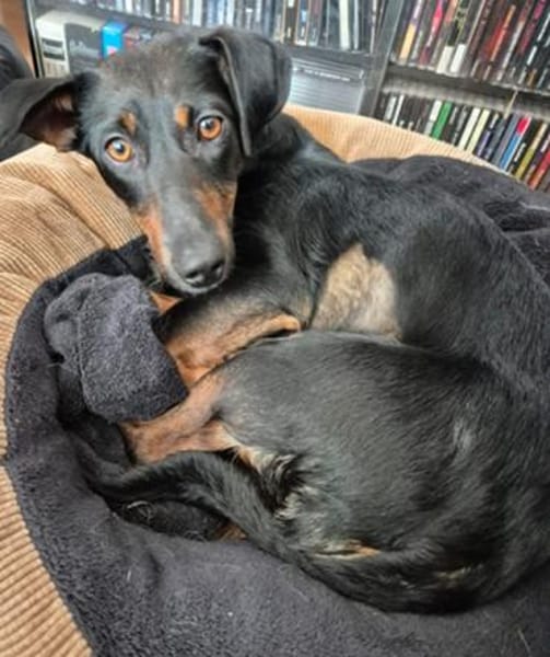 Candy° in 41472 Neuss