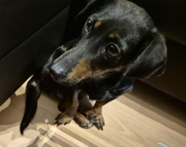 Candy° in 41472 Neuss