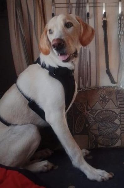 NEO wartet auf seine Familie