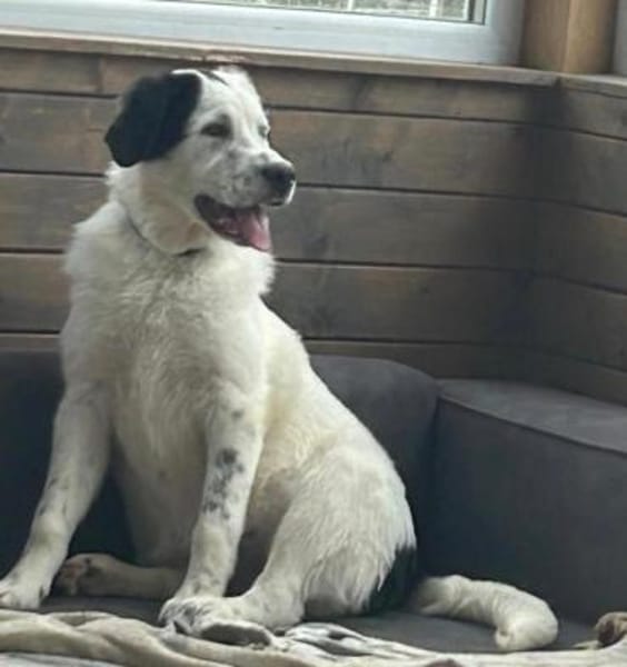 Nelly, eine süße Knutschkugel