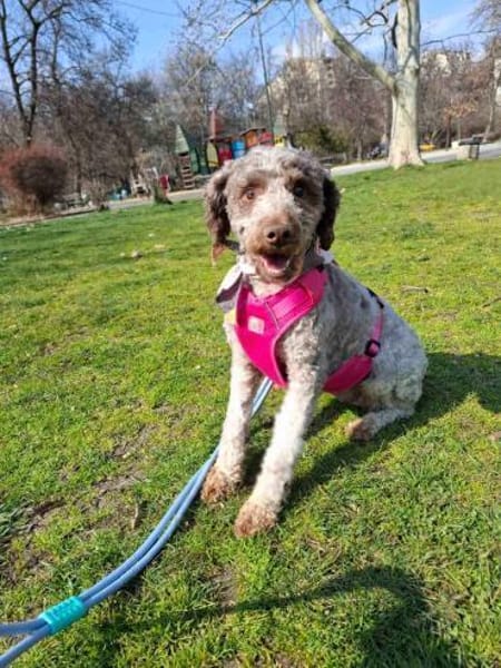 ❤Nancy...sieht nur noch Schatten😔