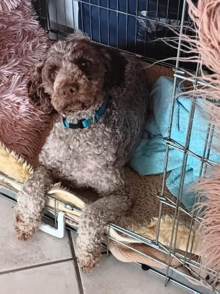 ❤Nancy...sieht nur noch Schatten😔