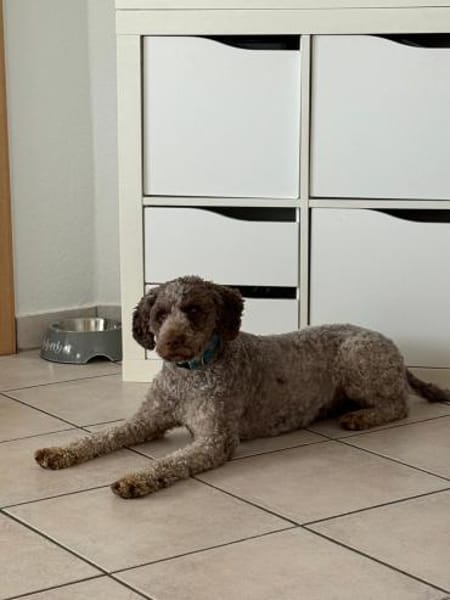 ❤Nancy...sieht nur noch Schatten😔