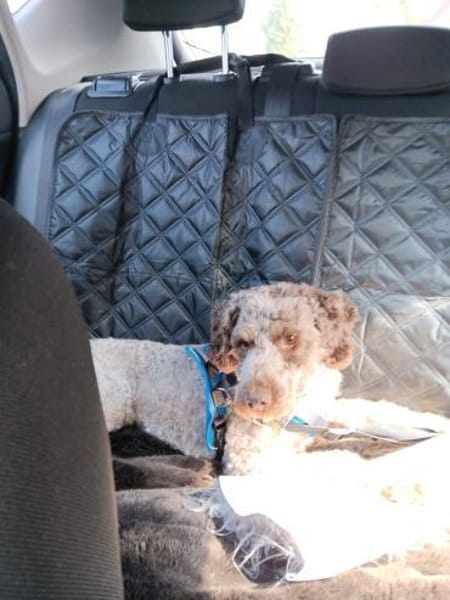 ❤Nancy...sieht nur noch Schatten😔